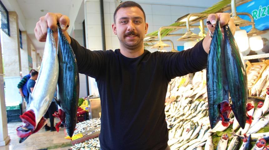 Palamuttaki bolluğun bitmesi, fiyatı ikiye katladı