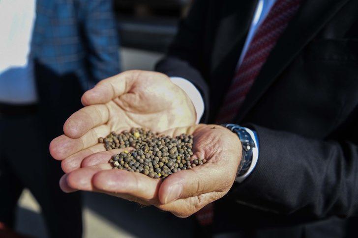 Kayseri’de çiftçilere Macar fiğ tohumu dağıtıldı G5