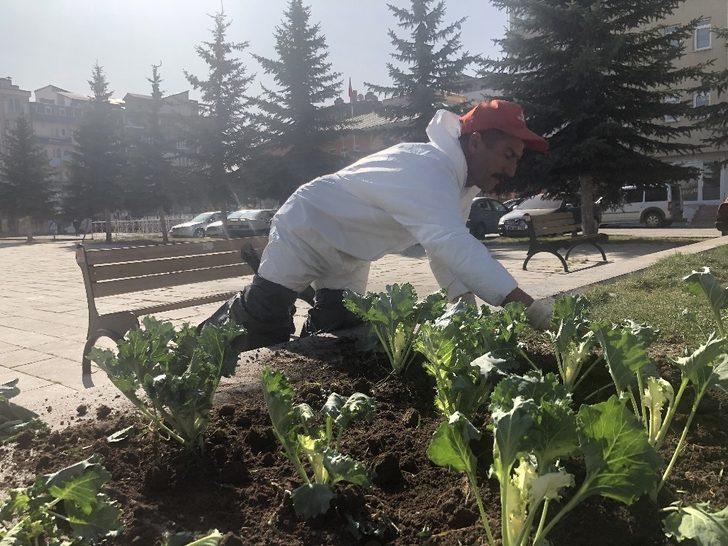Kars’ta havuzların etrafı çiçekleniyor G1