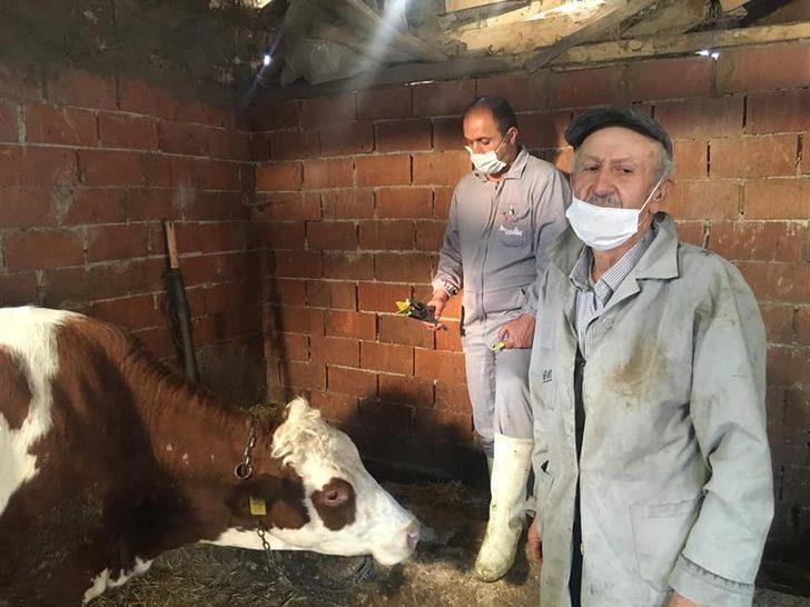 Bilecik Tarım ve Orman İl Müdürlüğü çalışmaları G3