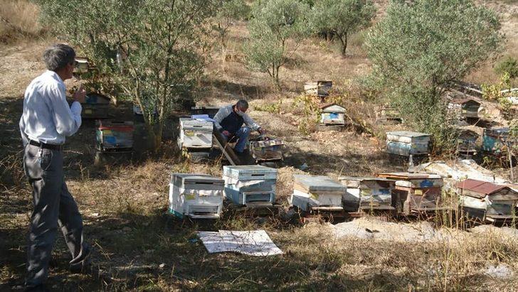 Bilecik Tarım ve Orman İl Müdürlüğü çalışmaları G5