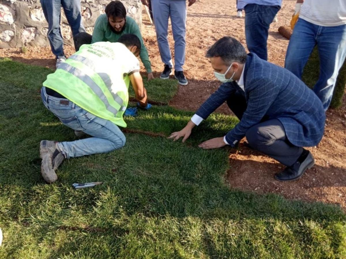 Yeşilyurt Belediyesi tarımsal &uuml;retim ve ar-ge sahasında 15 bin metrekare rulo &ccedil;im &uuml;retildi