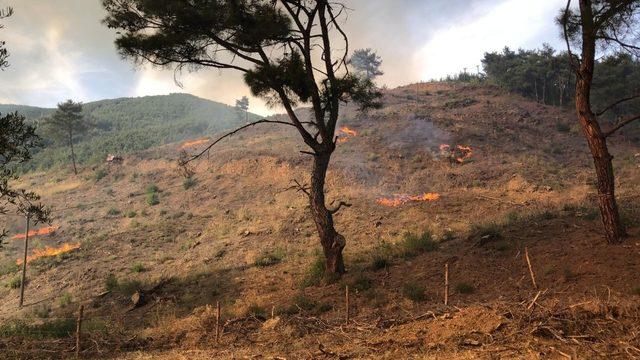 Adana’da orman yangını