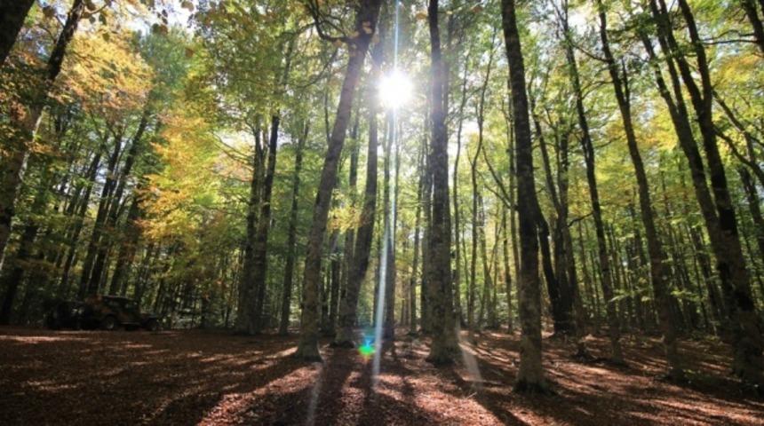 29 Ekim tatilinde nereye gidilir? İşte 10 maddede 29 Ekim’de gidilebilecek yerler