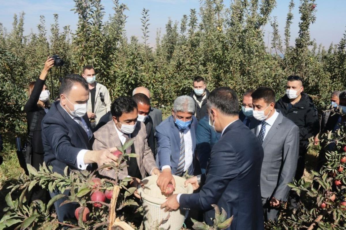 DAP ve DAKA&rsquo;dan Ahlat&rsquo;taki elma yetiştiricilerine destek