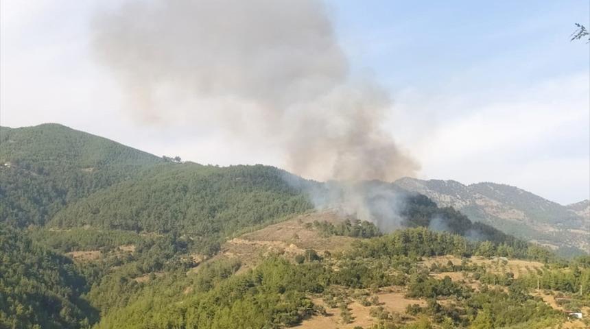 G&Uuml;NCELLEME - Adana'da &ccedil;ıkan orman yangınına m&uuml;dahale ediliyor
