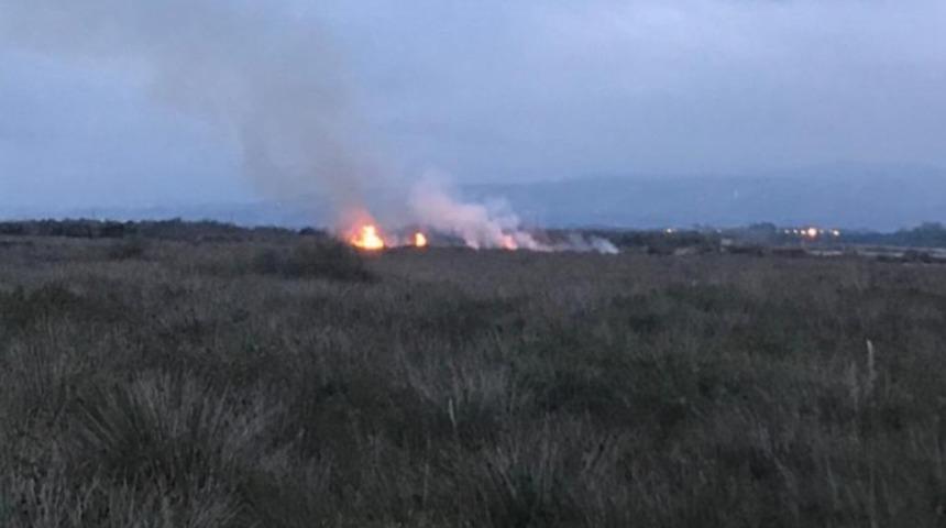 Kuş Cenneti sazlık alanda yangın