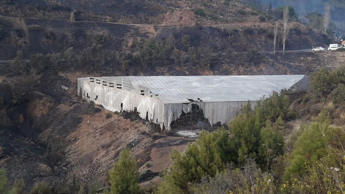 G&Uuml;NCELLEME 5 - Mersin'de &ccedil;ıkan orman yangınına m&uuml;dahale ediliyor