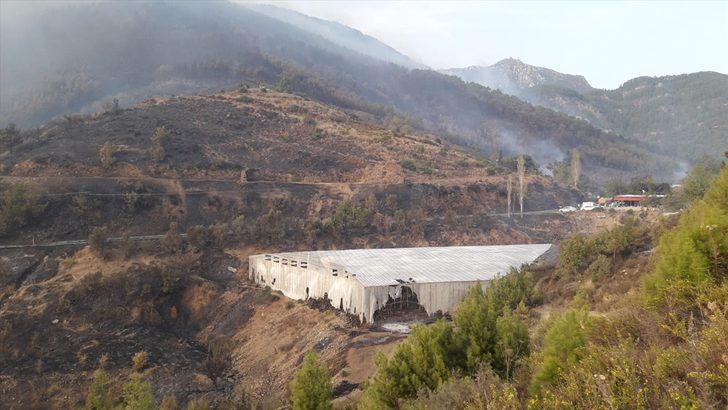 GÜNCELLEME 5 - Mersin'de çıkan orman yangınına müdahale ediliyor G2