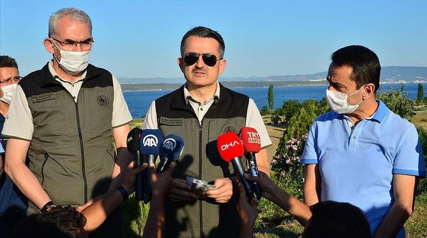 Bakan Pakdemirli'den İskenderun ve Anamur'daki yangına ilişkin açıklama