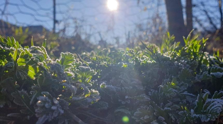 Doğu&rsquo;da hava sıcaklığı mevsim normalleri &uuml;zerinde seyrediyor