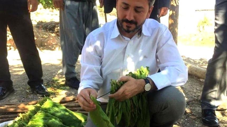 T&uuml;t&uuml;n mamullerinde en az y&uuml;zde 30 yerli t&uuml;t&uuml;n kullanılacak