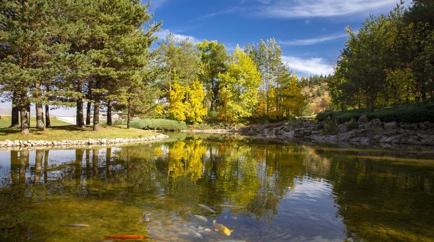 İşte Kırşehir'in Japon Bahçesi! Gelen dönmek istemiyor 