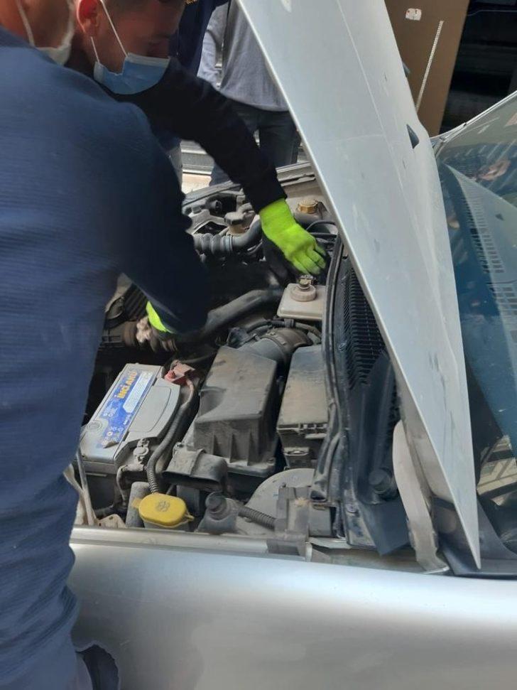 Lüks otomobilin motoruna sıkışan kedi kurtarıldı G2