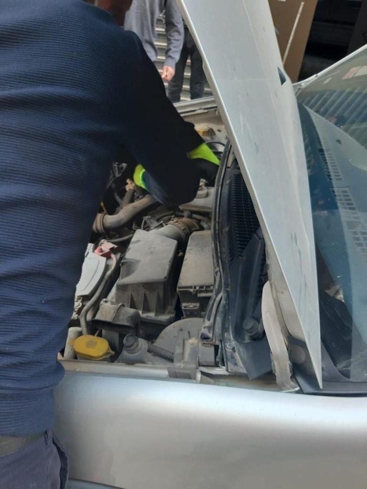 Lüks otomobilin motoruna sıkışan kedi kurtarıldı G3