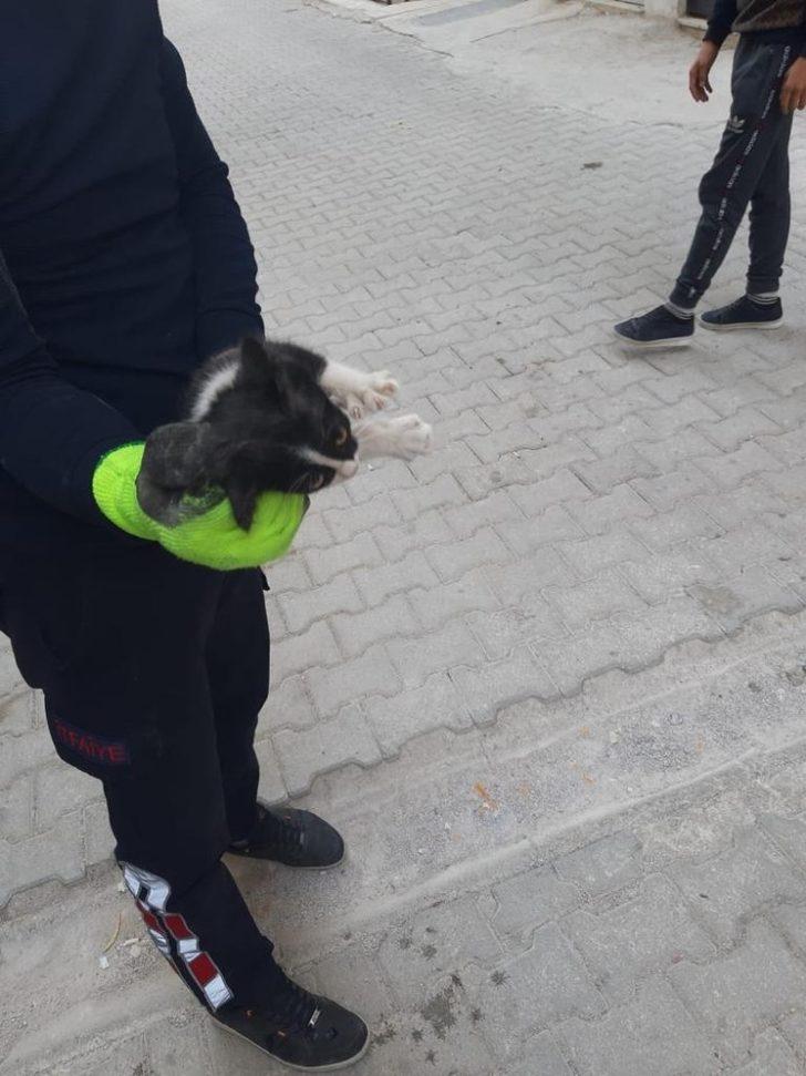 Lüks otomobilin motoruna sıkışan kedi kurtarıldı G4