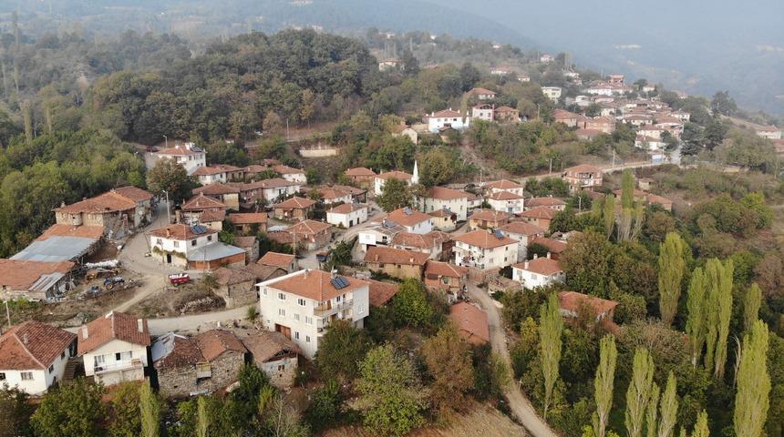 Bursa'daki bu köye koronavirüs uğramadı!