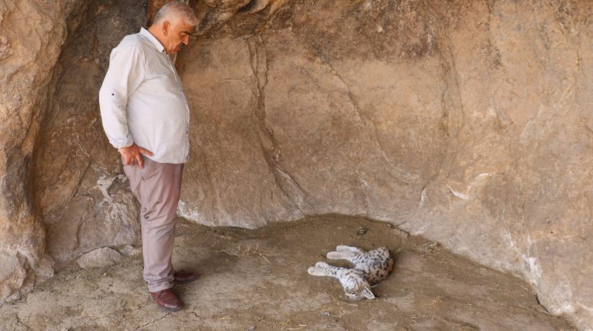 Canlı halini hiç görmemişlerdi! Ölüsünü görünce şaşkına döndüler