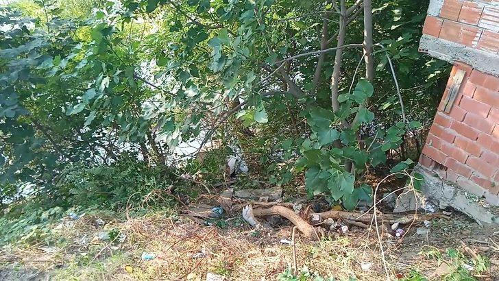 Yaşlı adam aracıyla dereye uçtu G3