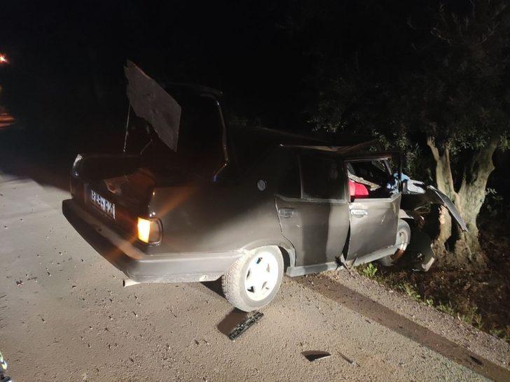 Otomobil zeytin ağacına çarptı: 1 ağır yaralı G2