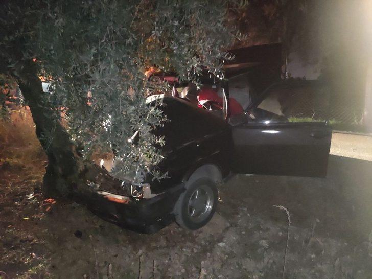 Otomobil zeytin ağacına çarptı: 1 ağır yaralı G3