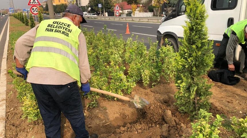 Orta ref&uuml;jler temizlenip ağa&ccedil;landırılıyor