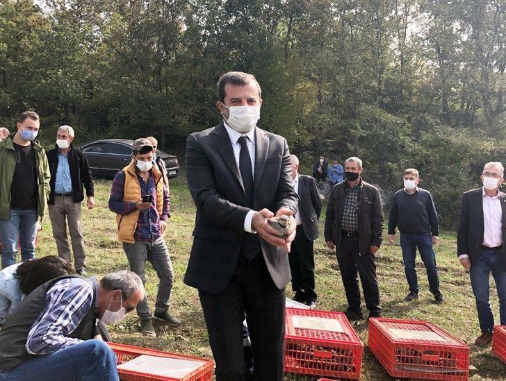 Gürsu’da keklik popülasyonu arttırılıyor G1