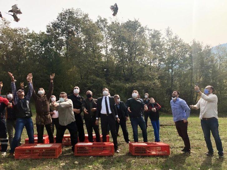 Gürsu’da keklik popülasyonu arttırılıyor G4