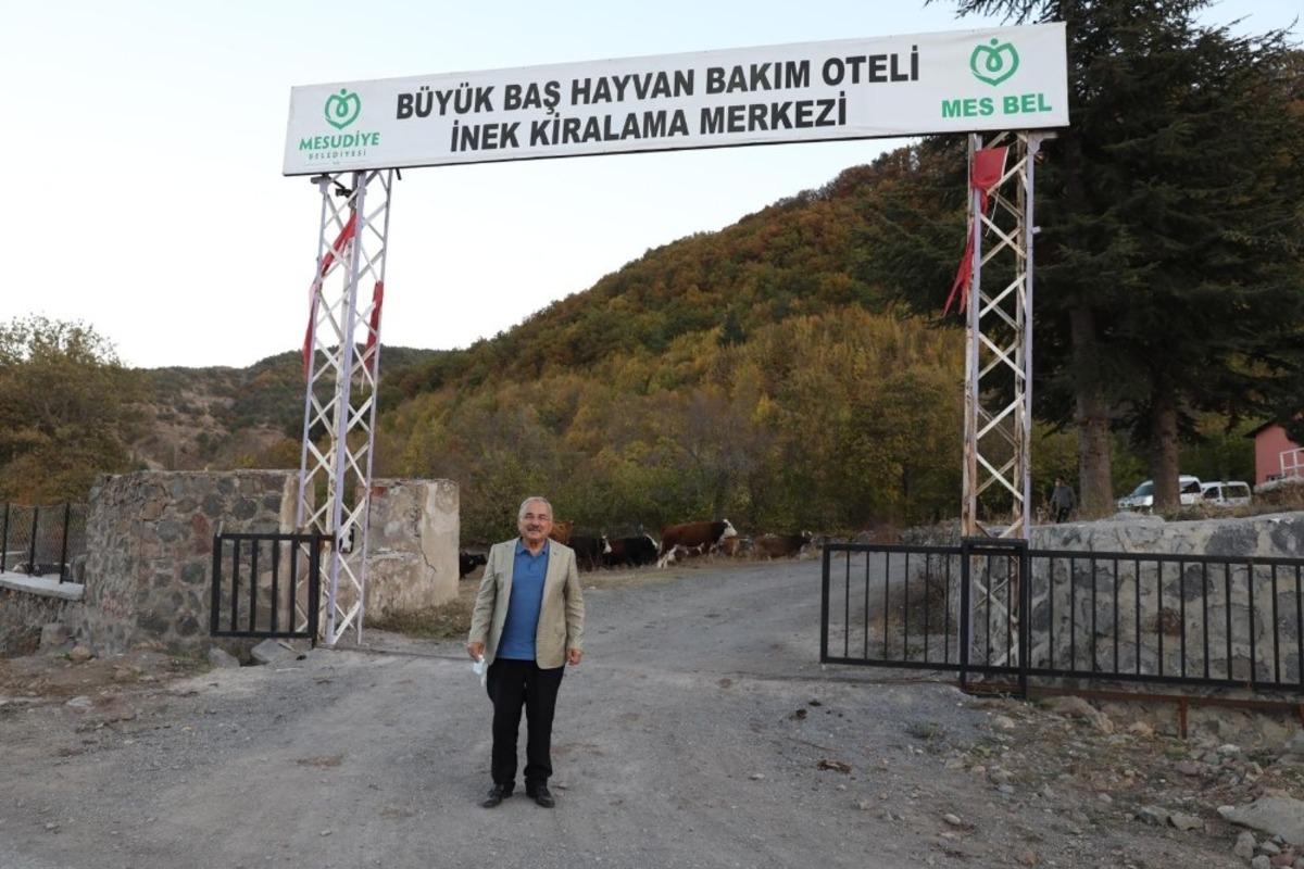 Besicilerin tercihi Hayvan Bakım Oteli