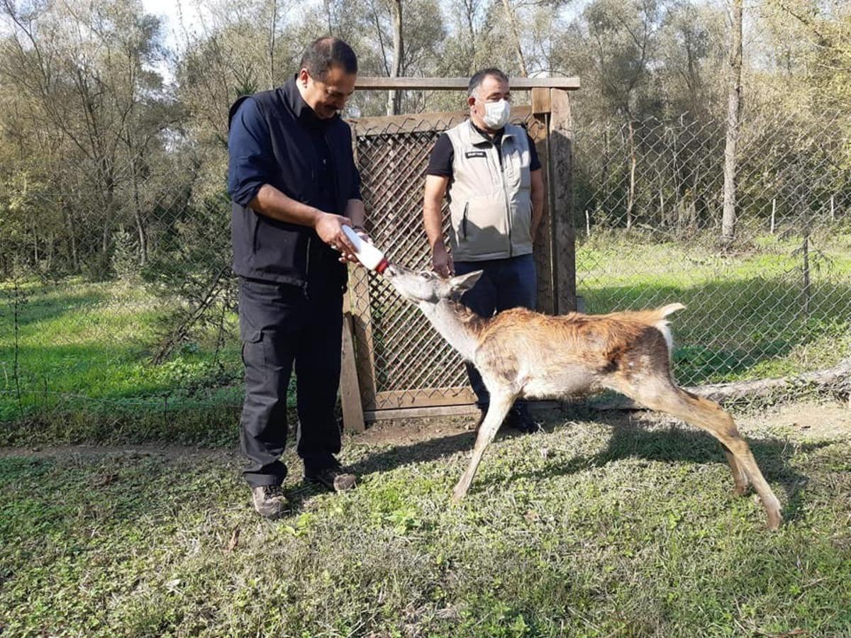 Karaağa&ccedil;&rsquo;tan yaban hayatı sahasında inceleme