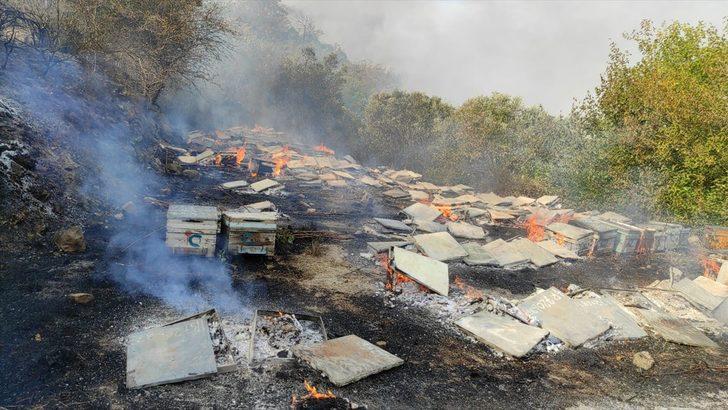 Hatay'da bahçede çıkan yangın arı kovanlarına zarar verdi G1