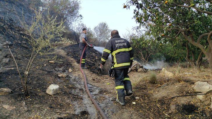 Hatay'da bahçede çıkan yangın arı kovanlarına zarar verdi G2
