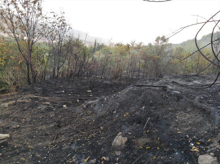 Hatay'da bahçede çıkan yangın arı kovanlarına zarar verdi G3