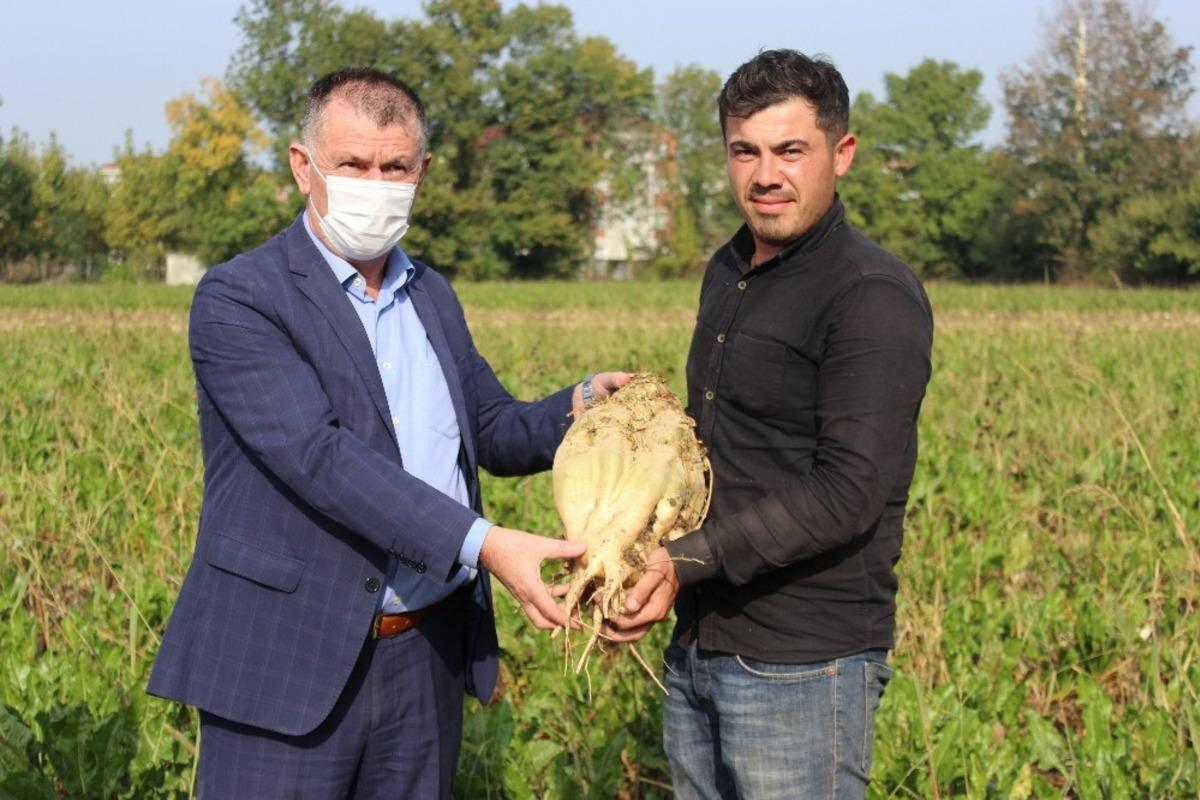 Şeker pancarı &uuml;reticileri: "B&ouml;yle verim g&ouml;rmedik"