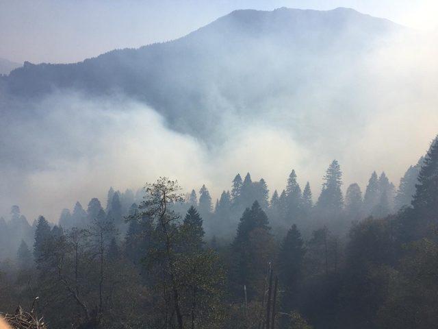 K&uuml;rt&uuml;n&rsquo;deki yangınlara m&uuml;dahale devam ediyor 1