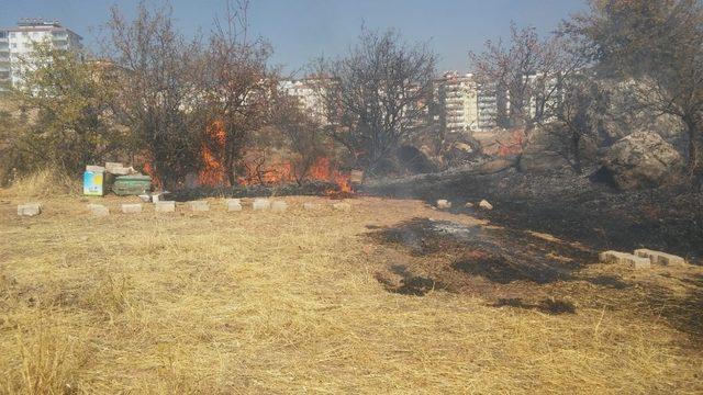 Besni’de bahçe yangını ağaçlara zarar verdi