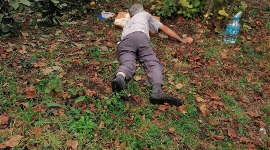 Ağaçtan düşerek yaralandı