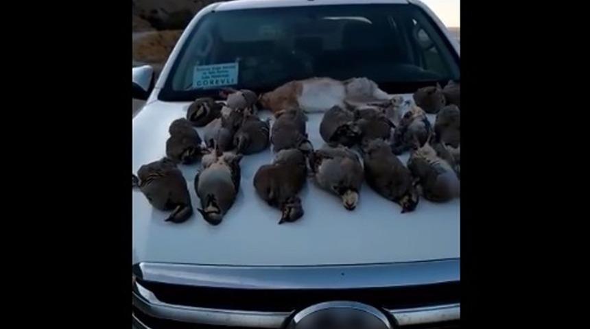 Ka&ccedil;ak keklik avlayanlara ceza