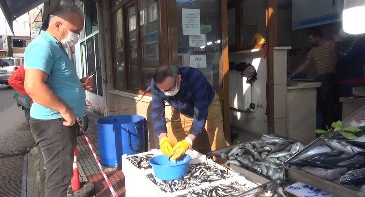 Karadeniz hamsisi tezgahlarda G2