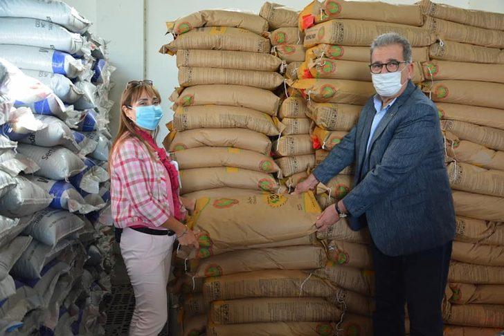 Aydın’da 140 ton fiğ ve arpa tohumu dağıtımı yapılıyor G3