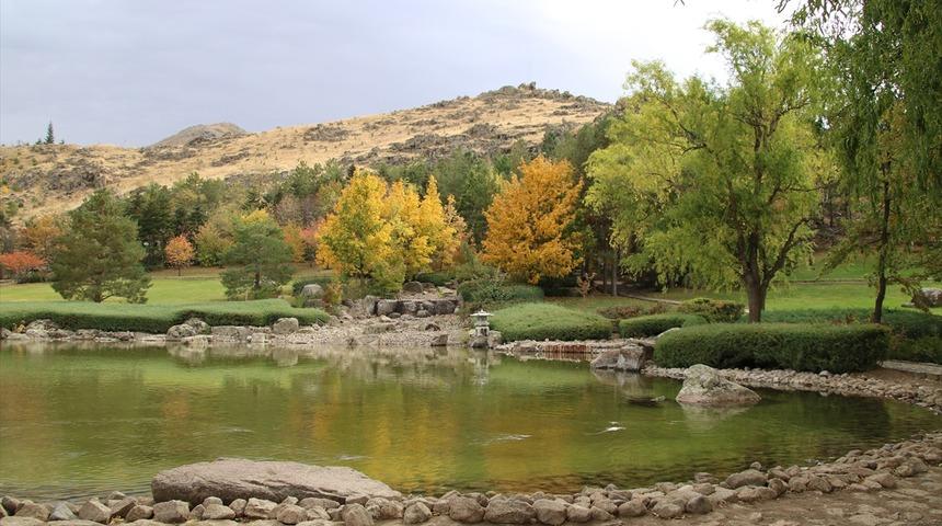 Bu bah&ccedil;eyi g&ouml;ren telefonuna sarılıyor! 