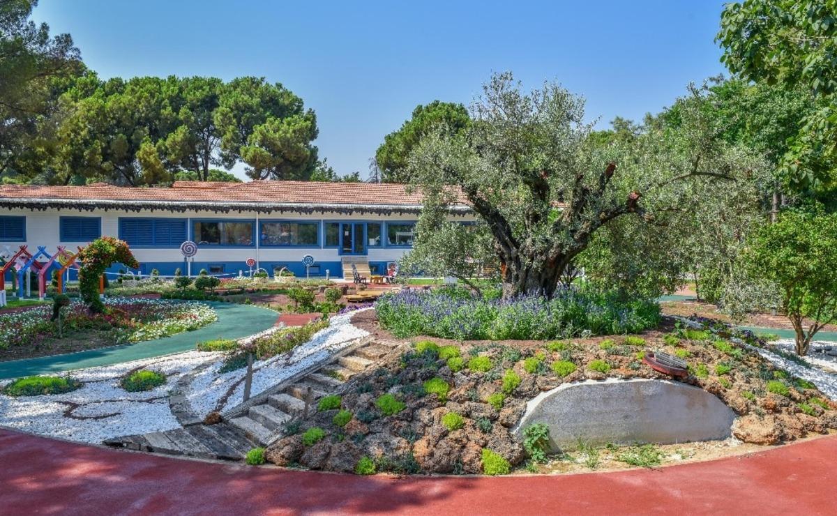 Dokuma&rsquo;da zeytin hasadı