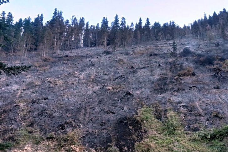 Kürtün’deki yangınlar kontrol altına alındı G1