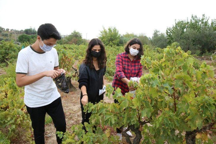 Buca’nın tarımı gençlere emanet G5