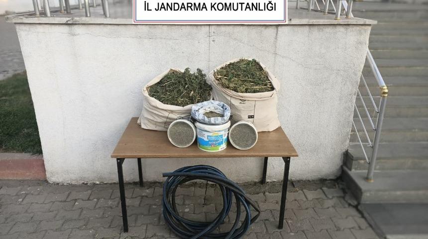 Bingöl’de 21 kilogram esrar ve kenevir tohumu ele geçirildi