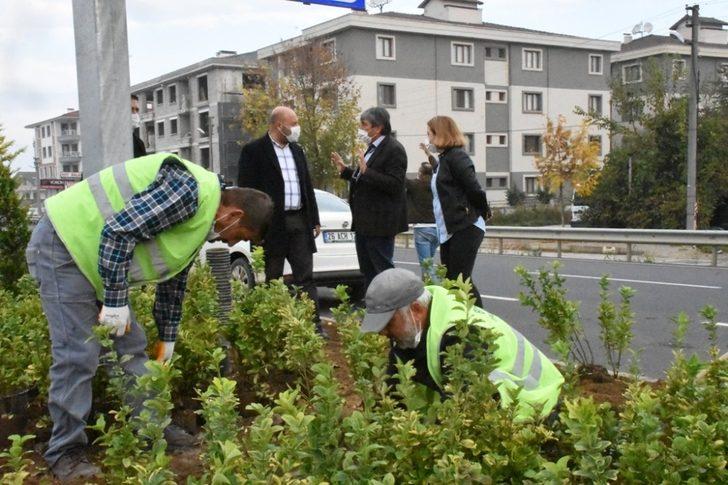 Düzce’ye 1 milyon 300 bin liralık bitki hibesi G1