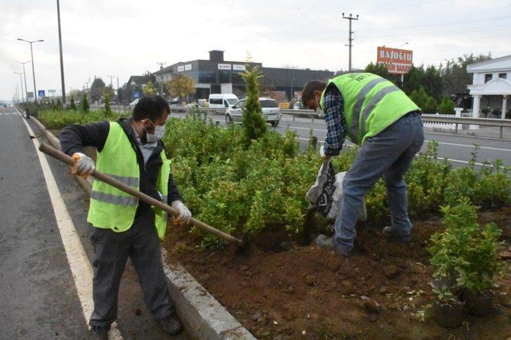 Düzce’ye 1 milyon 300 bin liralık bitki hibesi G2