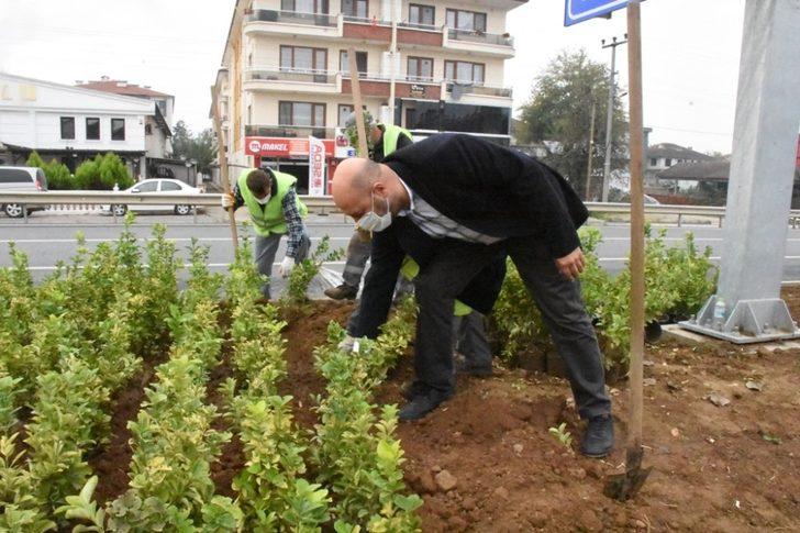 Düzce’ye 1 milyon 300 bin liralık bitki hibesi G3