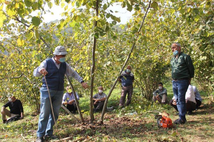 Fındıkta ezber bozuluyor G2