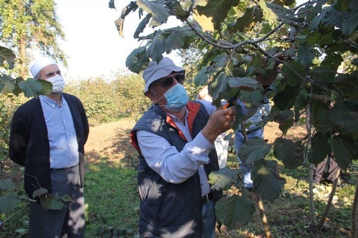 Fındıkta ezber bozuluyor G3